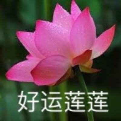 明日求生游戏下载